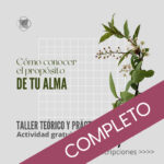 CHARLA-TALLER "¿Cómo conocer el propósito de tu Alma?"