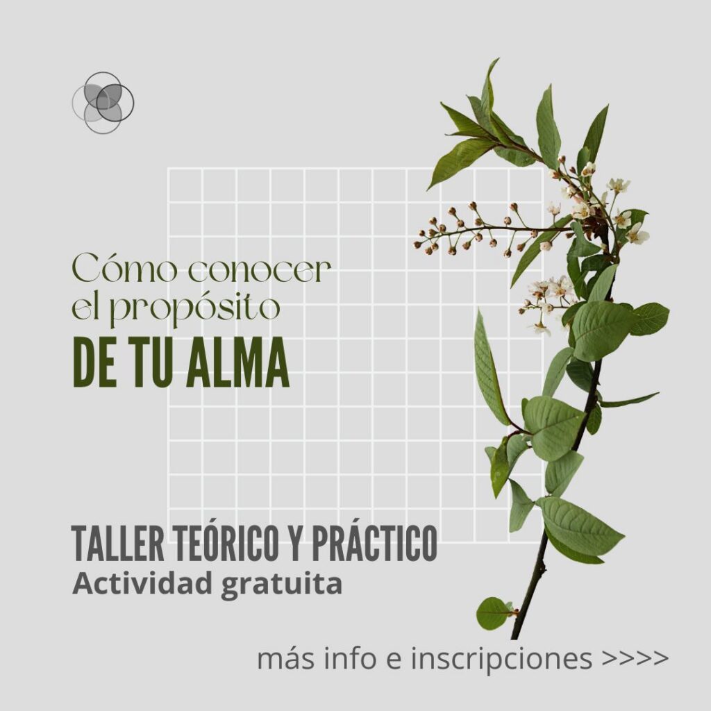 CHARLA-TALLER "¿Cómo conocer el propósito de tu Alma?"
