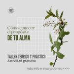 CHARLA-TALLER "¿Cómo conocer el propósito de tu Alma?"